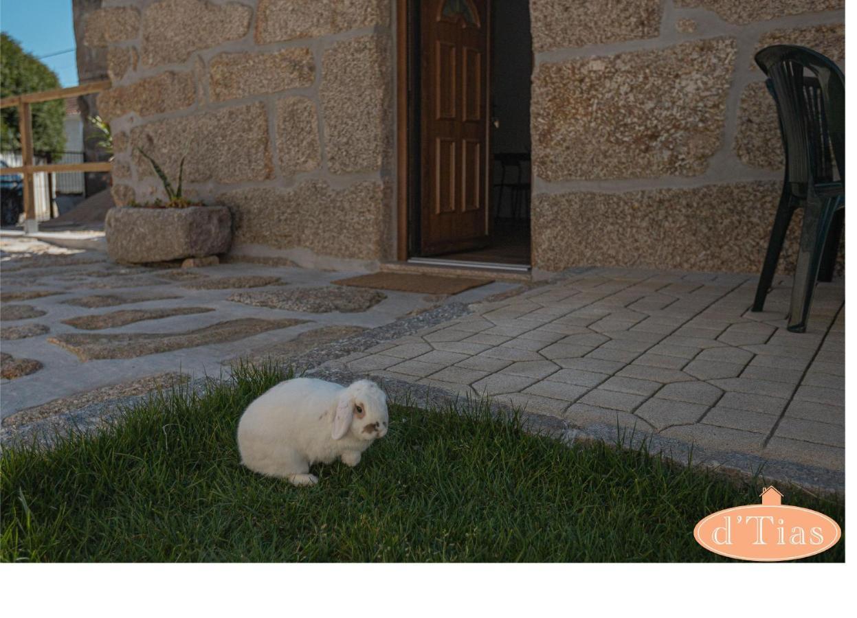 Casa Das Tias Βίλα Baltar Εξωτερικό φωτογραφία